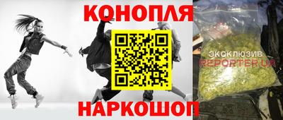 сатива Заволжье